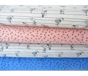 Jersey Circus play Triangles lachs